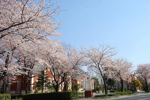 桜本邸.JPG